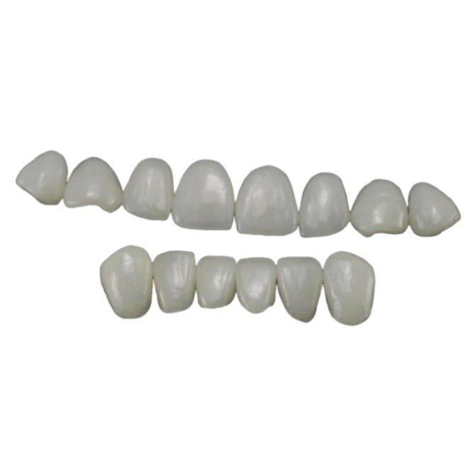 Zirconia dentures