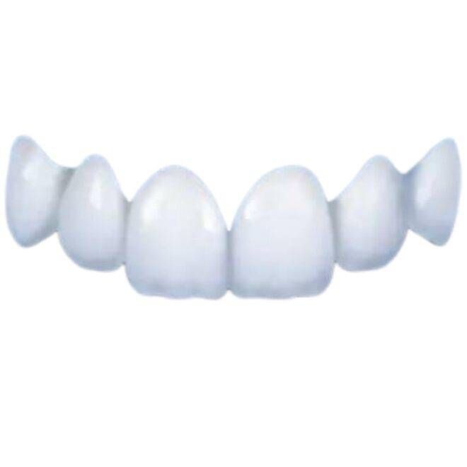 Zirconia dentures